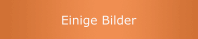 Einige Bilder